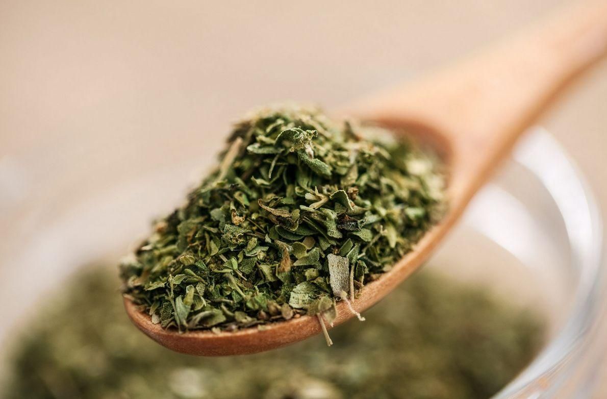 Oregano suszone