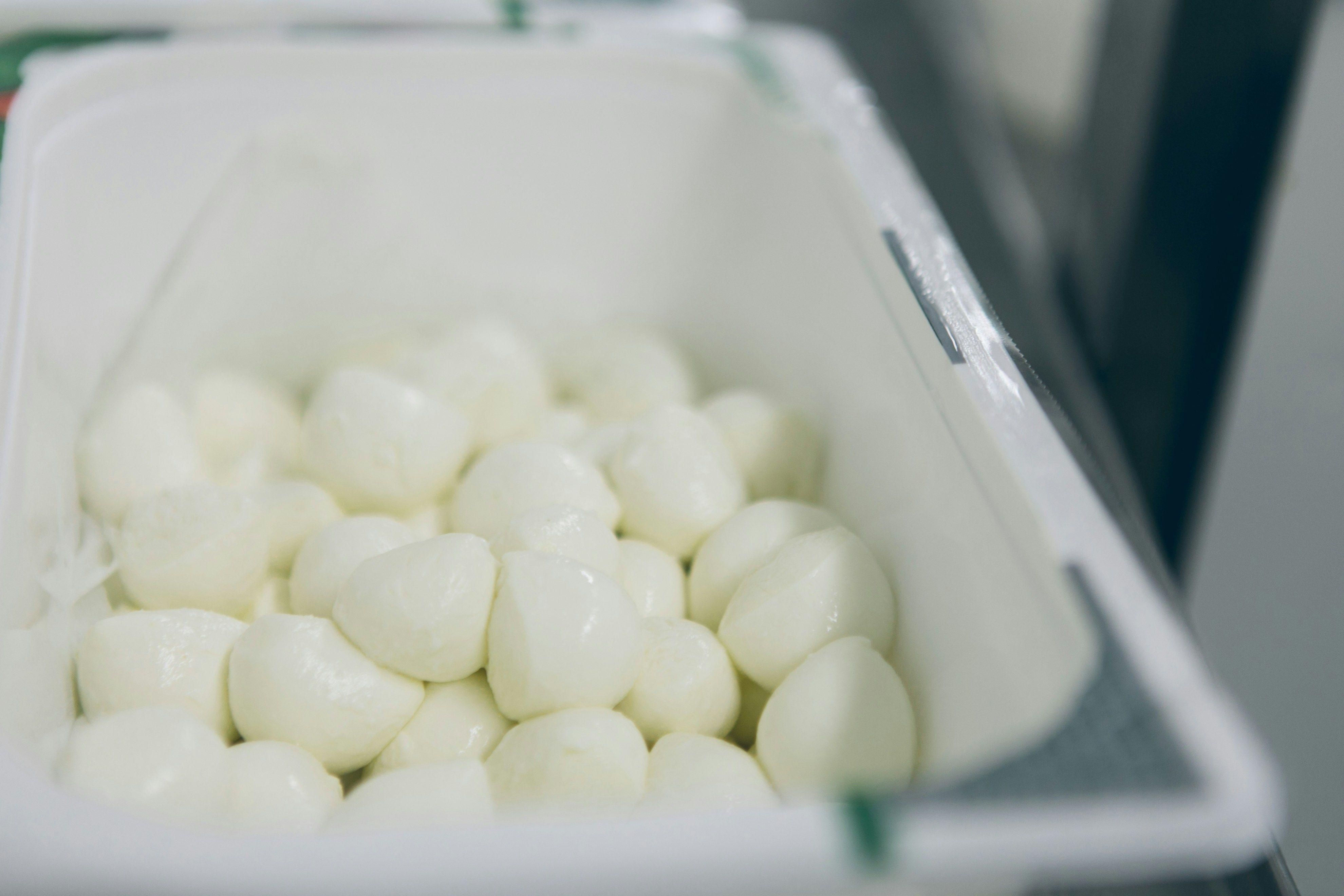 Ser Mozzarella
