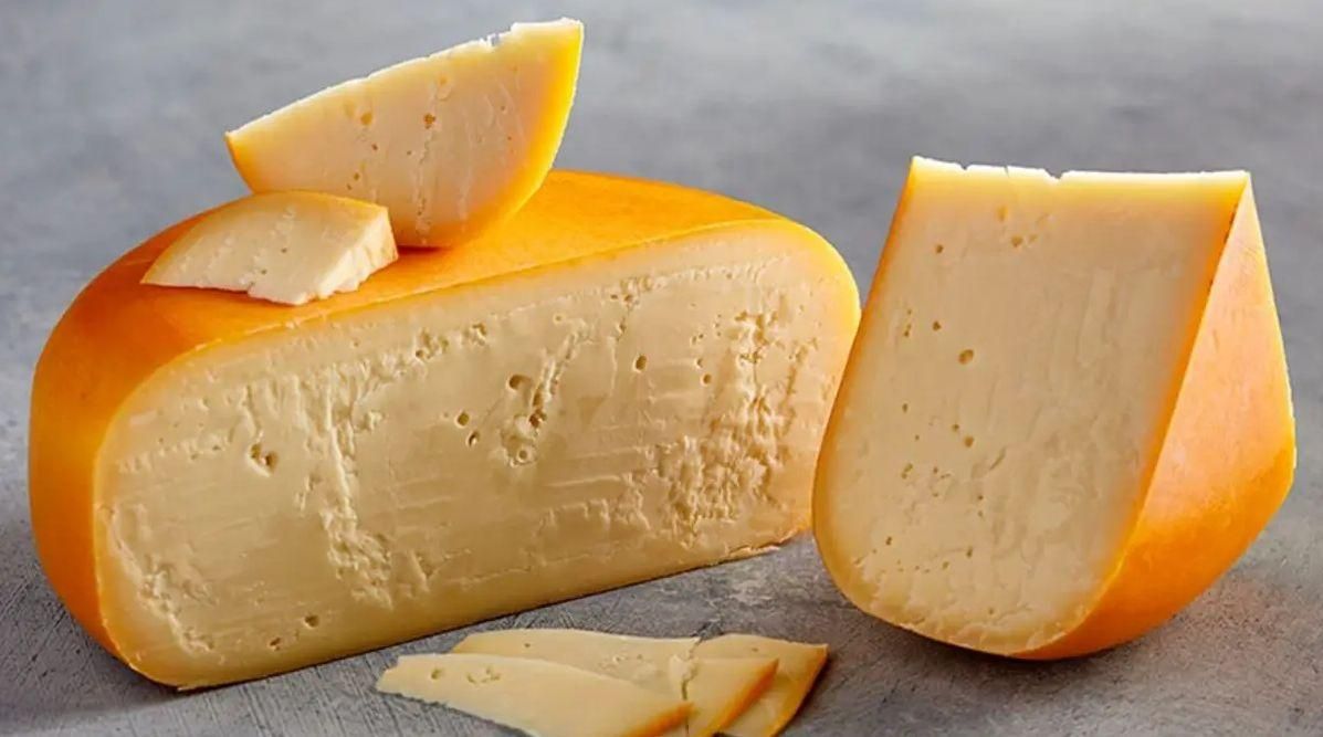 Ser gouda