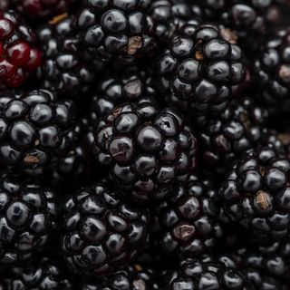Blackberry seeds - description, use, properties