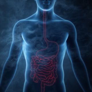 Leaky-Gut-Syndrom - Symptome, Ursachen, Behandlung und Ernährung