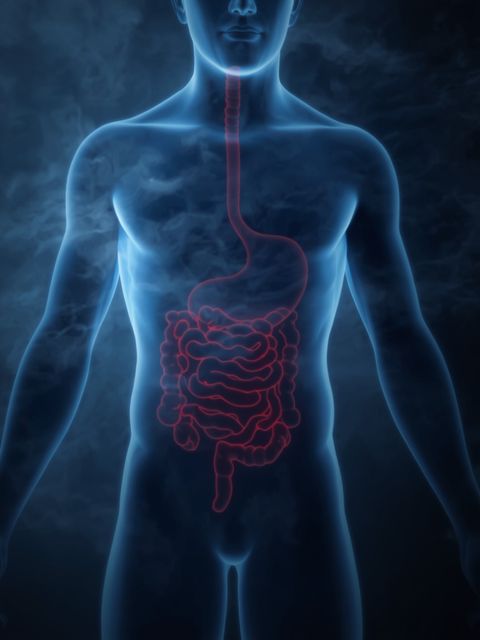 Leaky-Gut-Syndrom - Symptome, Ursachen, Behandlung und Ernährung
