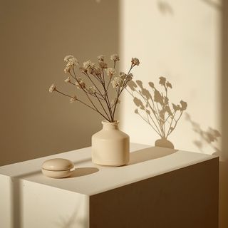 The purpose of Rue is its medicinal properties and use