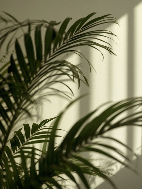 Plants That Soothe Festive Overindulgence