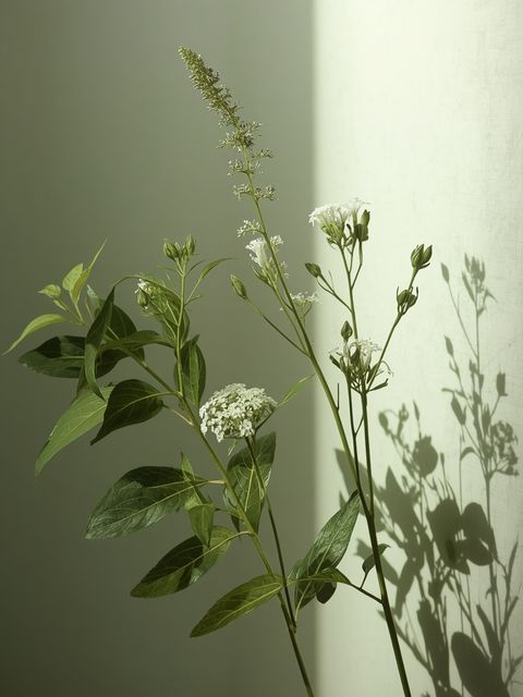 Herbs for the pancreas – species, application and effect, herbs for pancreatic regeneration