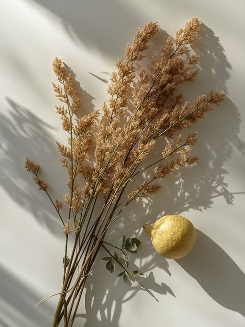 Tibetan plants for weight loss - composition, properties, and application