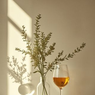 Plants essential for treating alcoholism consequences
