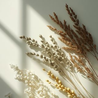 Cough-relieving and expectorant herbs - varieties and features