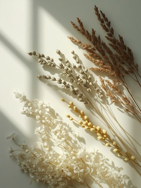 Cough-relieving and expectorant herbs - varieties and features