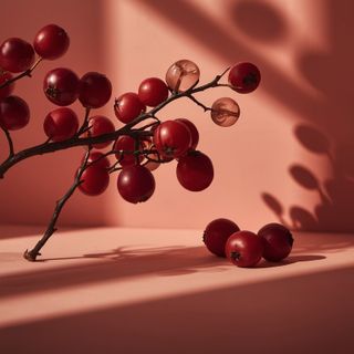 Vogelbeere statt Goji-Beeren - polnische Alternativen für sogenannte Superfoods