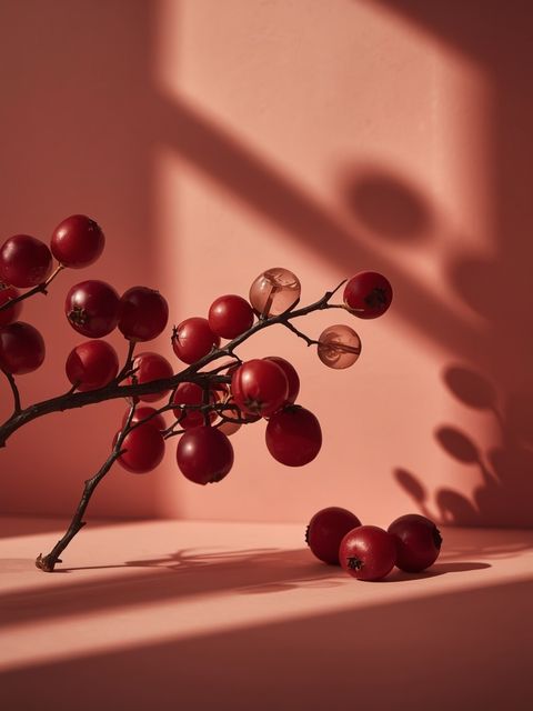 Rowanberry instead of goji berries - Polish alternatives for so-called superfoods