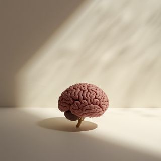 Does a Dietary Plan Exist That Supports Brain Function?