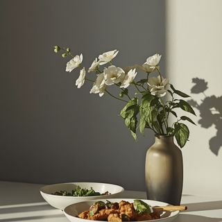 Wie man Mahlzeiten zusammenstellt, damit die pflanzliche Ernährung abwechslungsreich ist