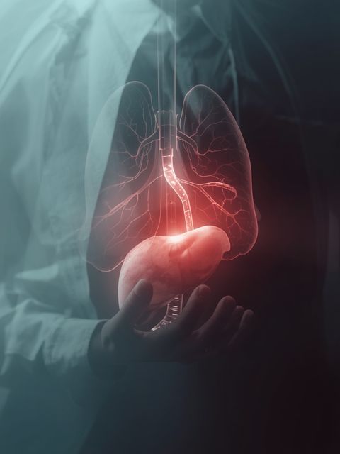 Non-Alcoholic Fatty Liver Disease – Diagnosis, Treatment, Diet