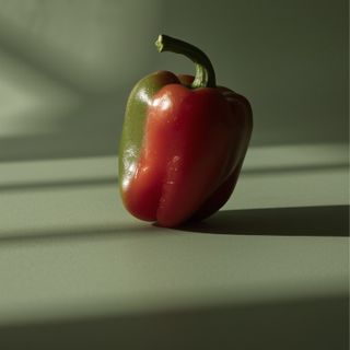 From Mild Jalapeños to Fiery Carolina Reaper – The Effects of <i>Capsicum</i> Fruits on Our Health