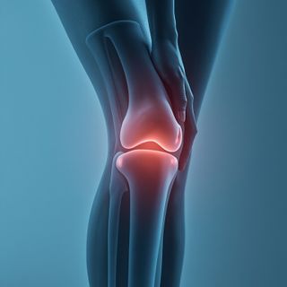 Fluid Presence in the Knee Joint