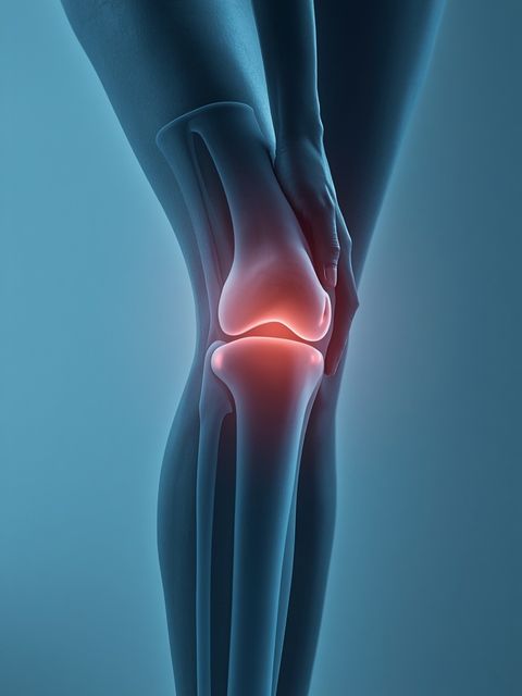 Fluid Presence in the Knee Joint