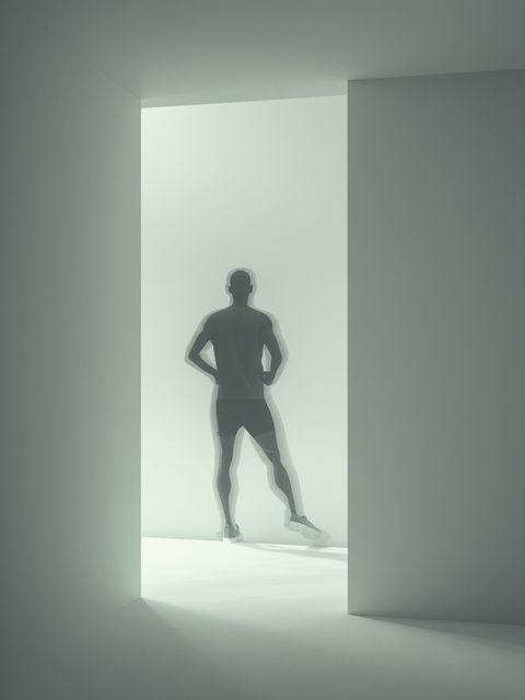 Impact of Physical Activity on the Immune System