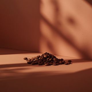 Application of Cocoa Bean Flavonoids in the Prevention and Treatment of Diseases