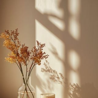 5 Most Effective Ways to Boost Immunity in Autumn