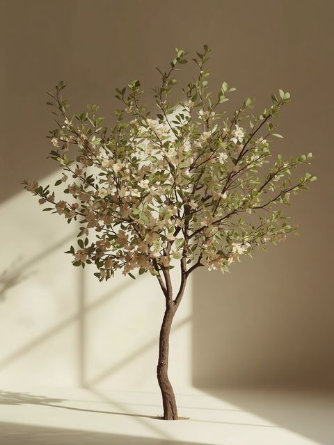 Terminalia arjuna (Arjuna Tree) – Efficacy and Contraindications