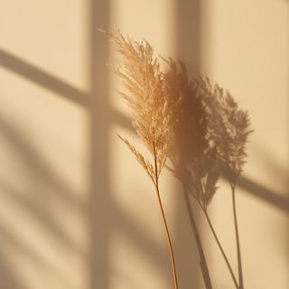 Dietary Fiber Protects Against Lung Diseases