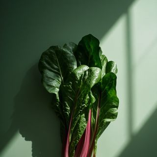 Swiss Chard: Properties, Nutritional Value, Uses, and Recipes