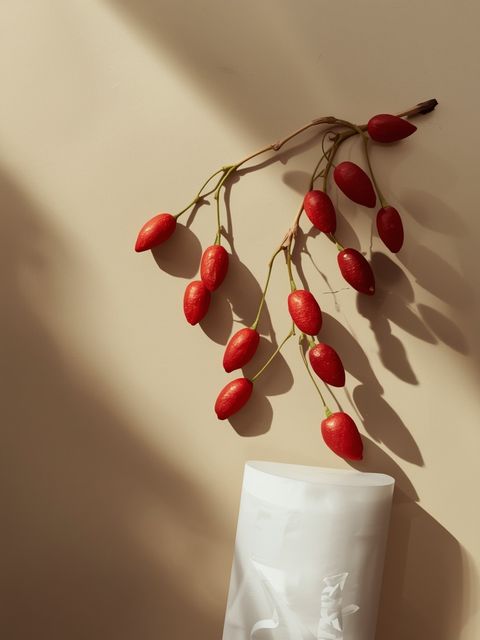 Investigating the Properties and Uses of Goji Berries – These Exceptional Fruits