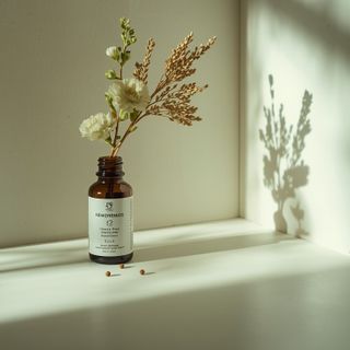 Short Guide to Hemorrhoids – The Therapeutic Power of Herbal Medicine