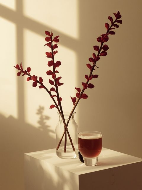 Home Remedies and Plants for Blood Vessels