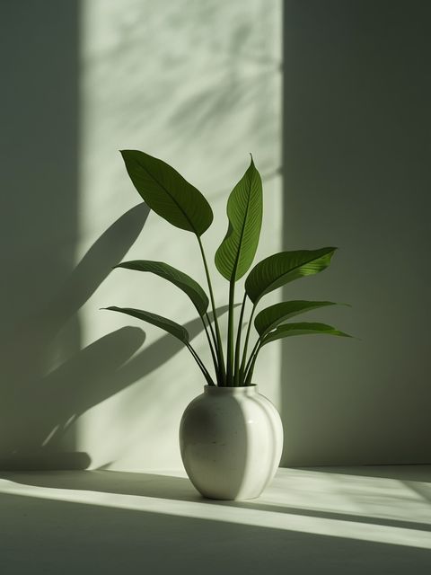 Effective Methods for Hemorrhoids – the Healing Power of Plants
