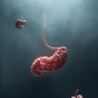 Chronic Intestinal Fungal Infection – Symptoms and Treatment