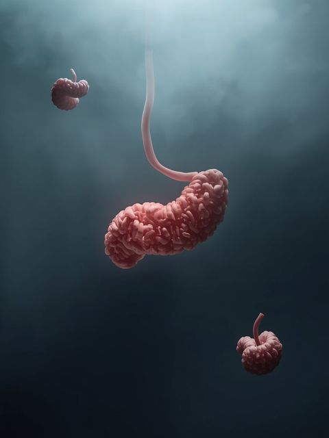Chronic Intestinal Fungal Infection – Symptoms and Treatment