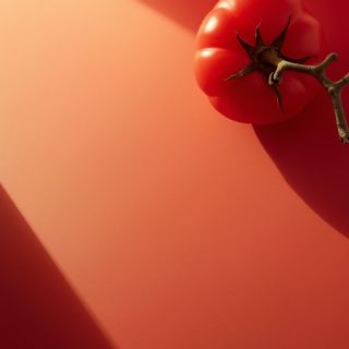 Tomatoes – Varieties, Health Benefits, Processing and Recipes