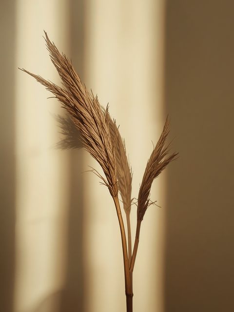 Wild Yam – Properties, Uses, and Side Effects