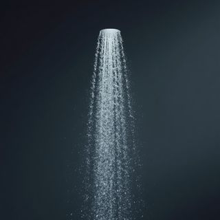 Holy Water Sprinkler – Regular Application Supports Nervous System Function