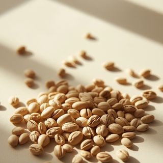 Bean Seeds
