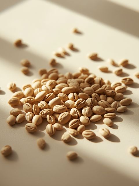 Bean Seeds