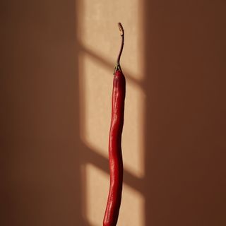 Red Yardlong Bean *Phaseolus vulgaris*