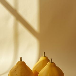 GAC – Eigenschaften und Anwendung der Kürbisgewächse-Frucht