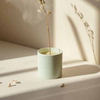 Discovering New Flavors – A Curiosity That Will Surely Boost Your Well-Being!