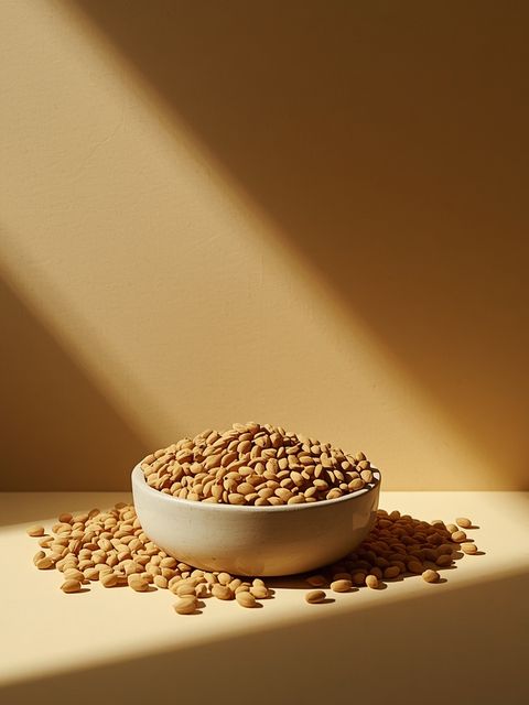Mustard Seeds – Medical Applications, Mustard Oil, Mustard Production