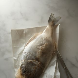 Halibut – skład odżywczy, zastosowanie kulinarne i rola w diecie