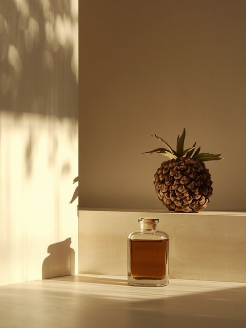 Hoodia – Properties, Weight Loss, Reviews