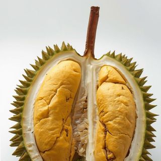 Durian, azjatycka potęga owocowa - pochodzenie, zastosowanie, ciekawe fakty
