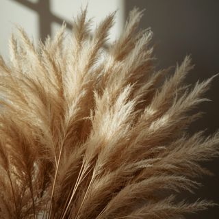 Vogelbeere – Sorten, Eigenschaften und Rezepte
