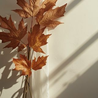 Autumn Upper Respiratory Tract Conditions – Prevention Methods