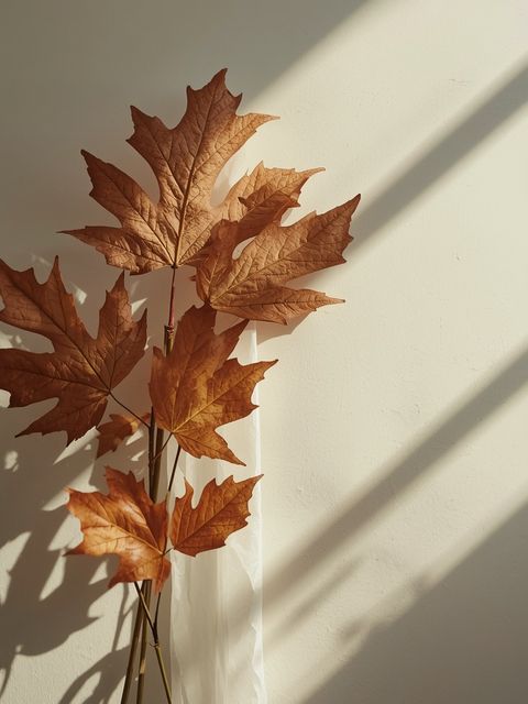 Autumn Upper Respiratory Tract Conditions – Prevention Methods