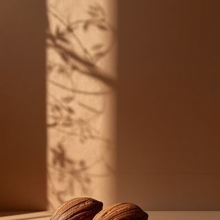 Kakao in Lebensmitteln – Eigenschaften, Sorten und Inhaltsstoffe