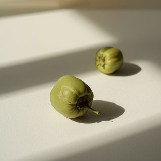 Capers – Properties and Uses. Why You Should Include Them in Your Diet